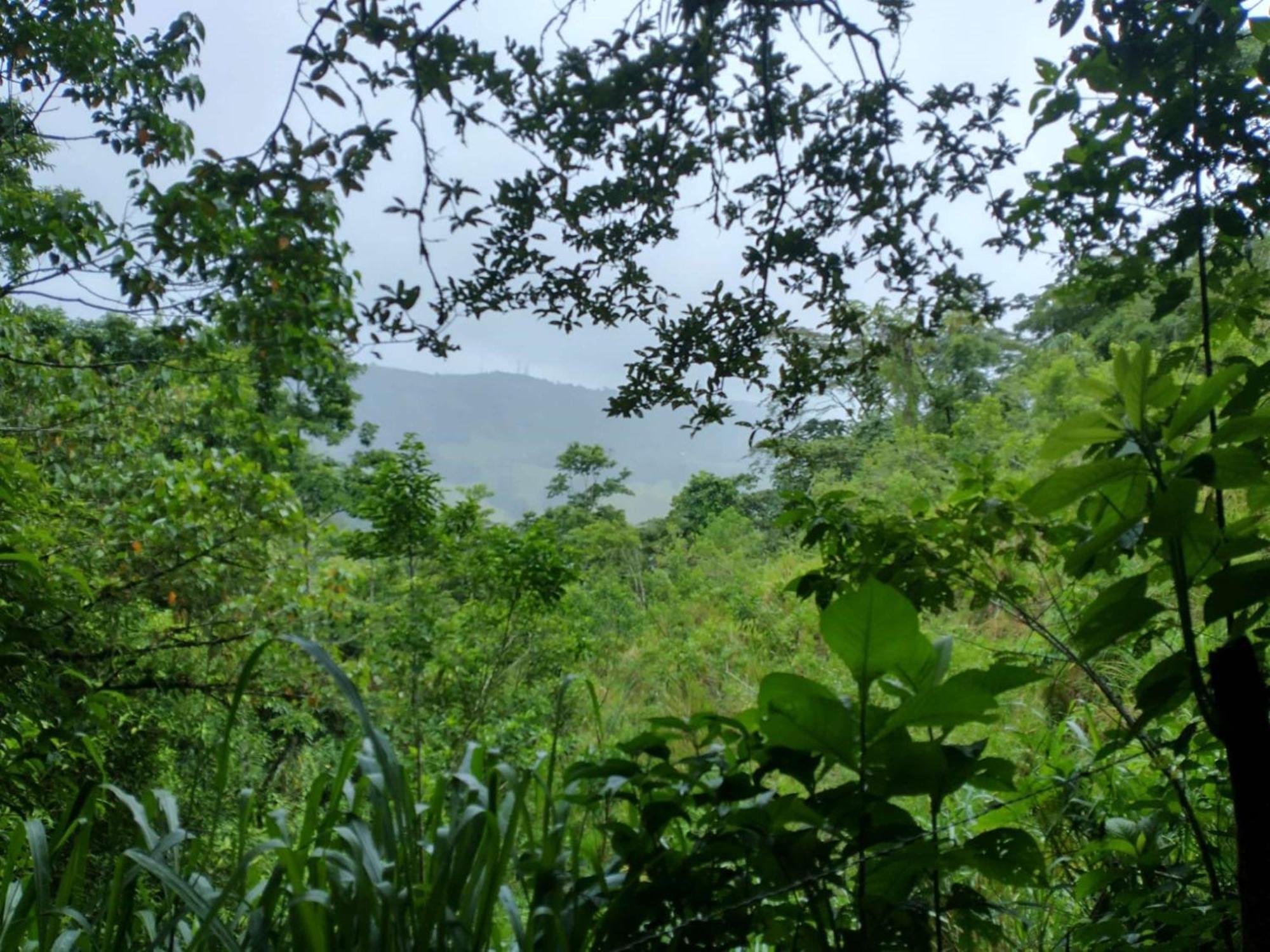 Best Western Hotel & Casino Kamuk Manuel Antonio Exterior foto